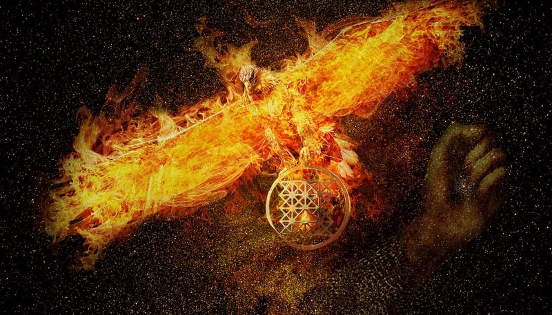 Phoenix sightings